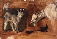 Goats (study)