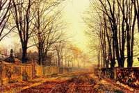 Under the Beeches