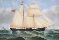 'Alice Louisa'