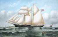 'Jane Knox' (Fair Weather)