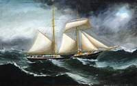 'Jane Knox' (Foul Weather)