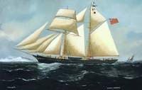 'Rosa' of London