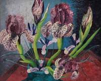 Mottled Iris