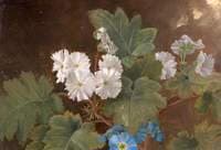 Study of Flowers