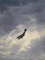 Swooping Down on a Hostile Plane
