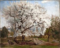 Apple Tree in Blossom