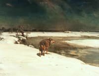The Lonely Wolf