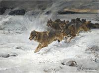 A Pack of Wolves