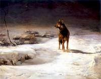 The Wolf