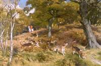 Hunting Scene
