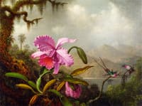 Orchids and Hummingbirds near a Mountain Lake