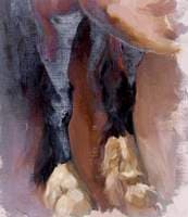 Horse's Hooves