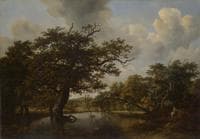 The Old Oak