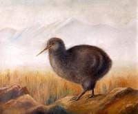 A Kiwi in a Landscape