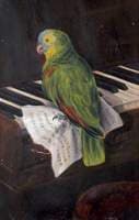 'Polly' the Parrot, Sitting on a Music Score on the Keys of a Piano