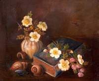 Still Life of Shells and a Casket
