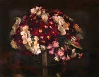 Polyanthus