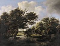 Woodland Pond