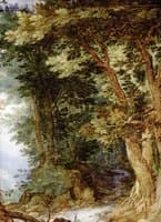 Forest Landscape