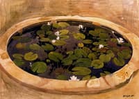 Pond of Water Lilies