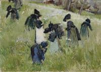 Les femmes dans les champs