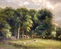 Cows in a Wooded Paddock