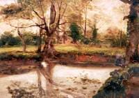Landscape with Trees by a Pool