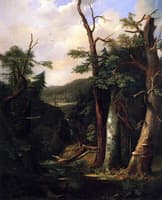 Western Forest