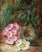 A Bird's Nest and Flowers