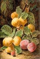 Still Life, Fruit