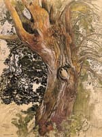 A Tree