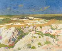 A Grave and a War Crater at La Boiselle, August 1917