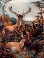 Three Stags