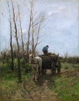 Gathering Wood