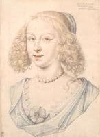 Portrait of a Lady