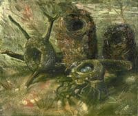 Birds' Nests