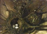 Birds' Nests