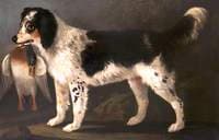 A Retriever with a Dead Duck in a Landscape