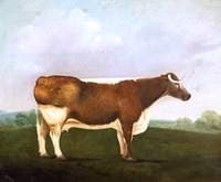 'Old Nell'