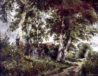A Country Lane