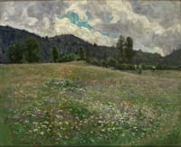 Summer Meadow