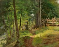 Forest Path