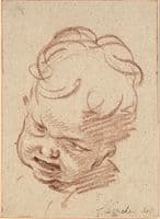 Head of a Young Boy
