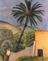 Palm Tree