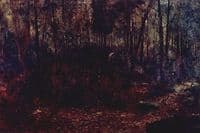 Outdoor School