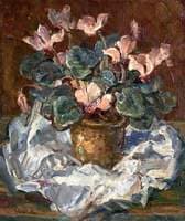 Cyclamen
