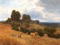 Abinger, near Dorking