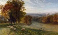 Autumn Morning