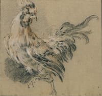 Study of a Rooster