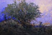Twilight